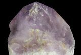 Huge, Amethyst Crystal Point - Brazil #64862-1